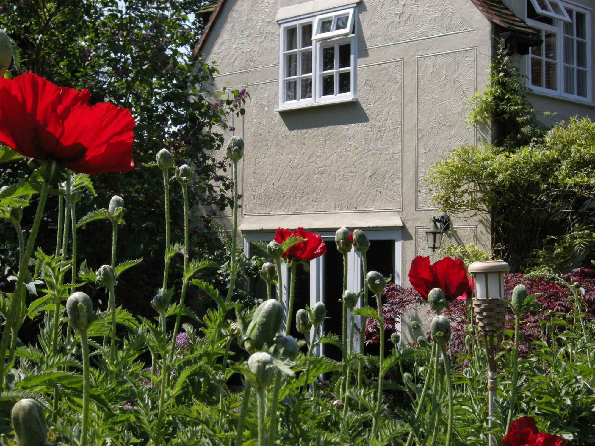 Motts Bed & Breakfast Great Dunmow Exterior foto