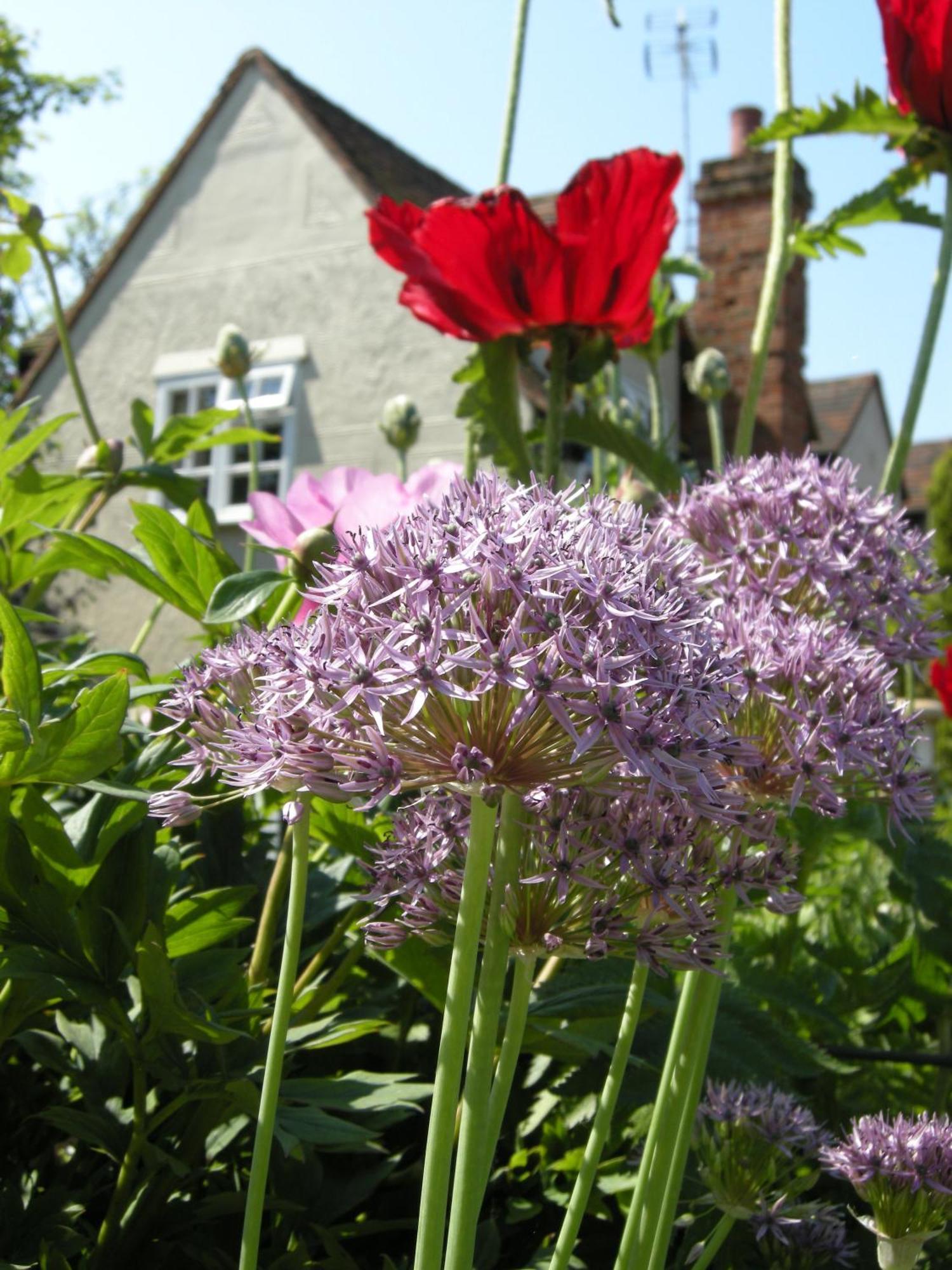 Motts Bed & Breakfast Great Dunmow Exterior foto